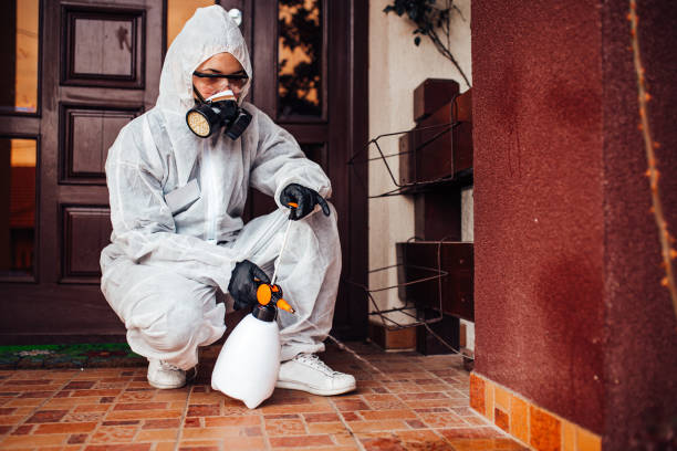 Reliable Bed Bug Control contractor in Waxahachie, TX by Nex Pest Control