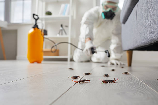 Trusted Cockroach Control service in Waxahachie, TX - Nex Pest Control